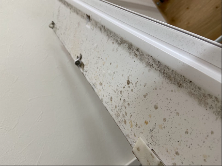 風向板の洗浄前