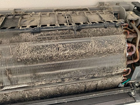 熱交換器の洗浄前