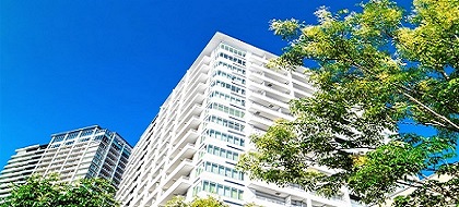 不動産管理会社の写真